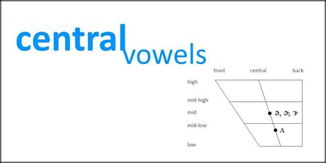 szwa|Mid central vowel